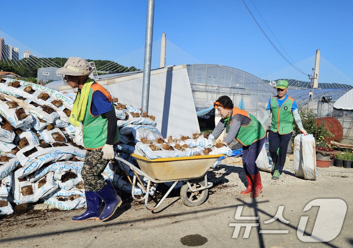 광주시자율방재단연합회가 27일 집중 호우로 피해를 입은 광산구 농가를 찾아 복구 활동을 펼치고 있다.&#40;광주시 제공. 재판매 및 DB 금지&#41; 2025.7.28/뉴스1 ⓒ News1 박준배 기자