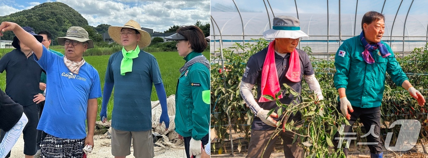 합천군 수해 현장에서 김정호 의원(왼쪽 사진 오른쪽 두번째), 윤재옥 의원(오른쪽 사진 왼쪽)과 김윤철 군수가 복구 작업을 벌이고 있다(합천군 제공. 재판매 및 DB금지).