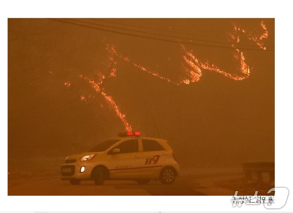 대구사진비엔날레는 28일 전국을 대상으로 공모한 '프린지 포토 페스티벌'에 선정된 20팀을 홈페이지에 발표했다. 사진은 단체팀으로 참가한 뉴스1 공정식 기자의 '검은 봄'. (대구사진비엔날레 제공. 재판매 및 DB 금지)/뉴스1
