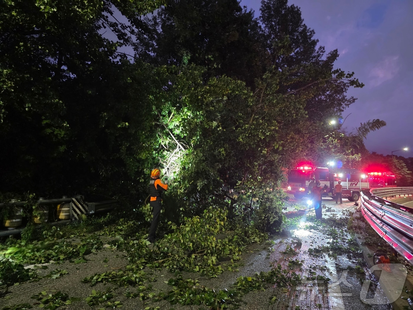 지난 28일 오후 7시 21분쯤 광주 북구 매곡동 동림IC 진입로에서 나무가 쓰러져 도로를 막아 소방당국 등이 안전조치를 진행하고 있다,(광주 북부소방서 제공. 재판매 및 DB금지) 2025.7.29/뉴스1 