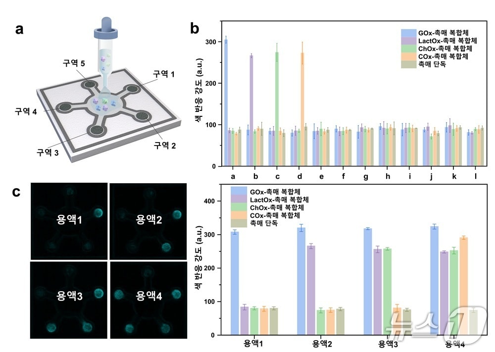 고감도 센서 플랫폼 모식도(KAIST 제공) /뉴스1