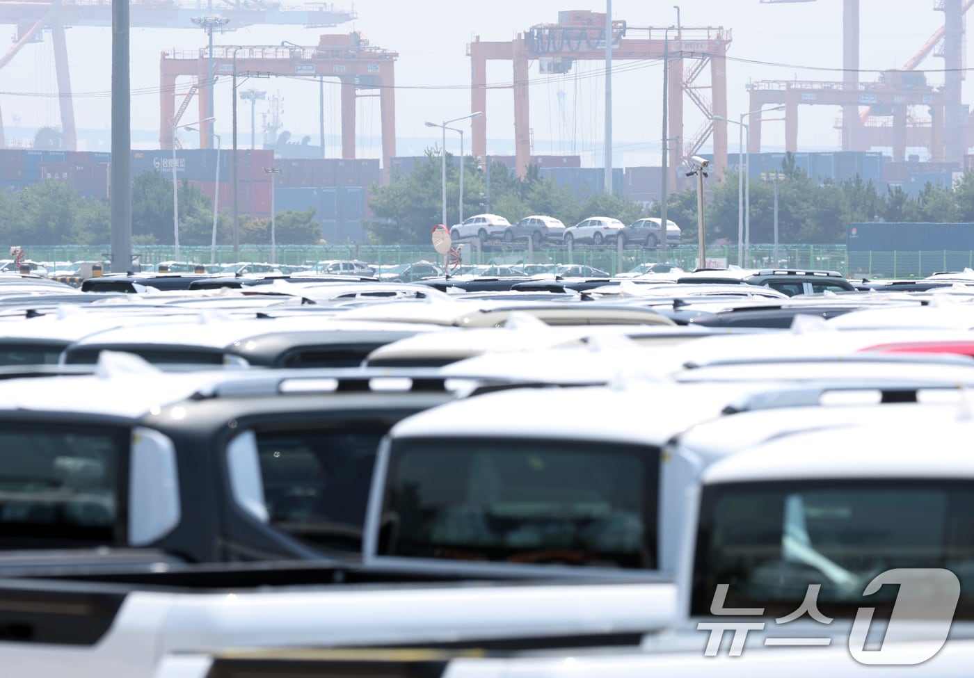 미국의 상호관세 유예 종료시한을 3일 앞둔 29일 경기 평택시 포승읍 평택항에 수출용 차량이 세워져 있다. 2025.7.29/뉴스1 ⓒ News1 김영운 기자