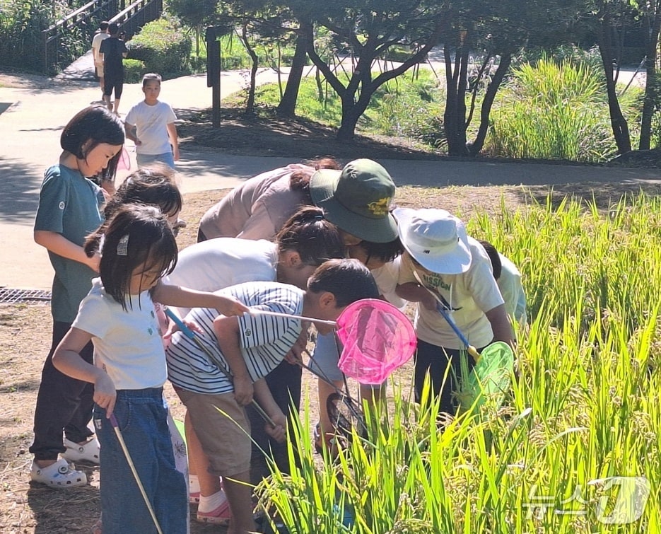  (서울 강동구 제공) 