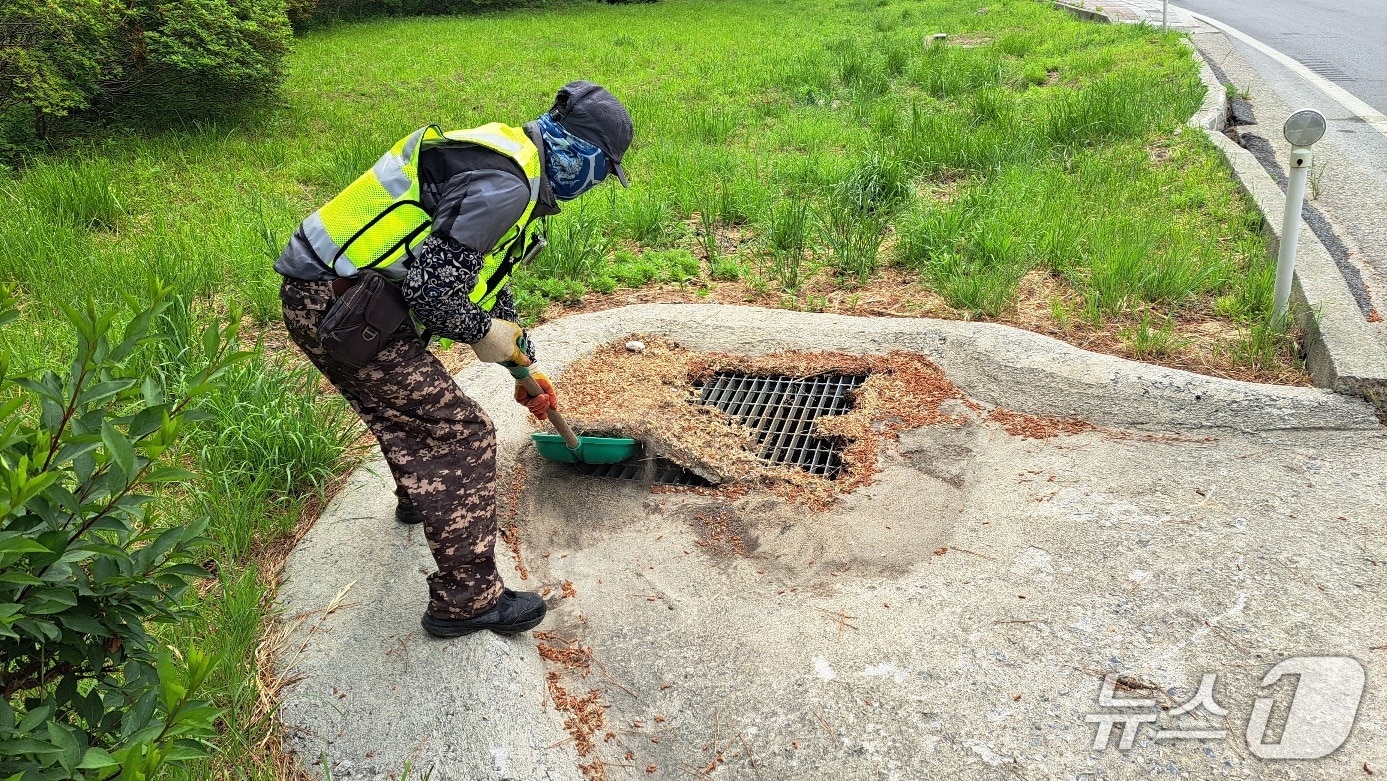 도로 민원 처리하는 동해시 현장대응팀 기동처리반.(동해시 제공, 재판매 및 DB 금지) 2025.7.29/뉴스1