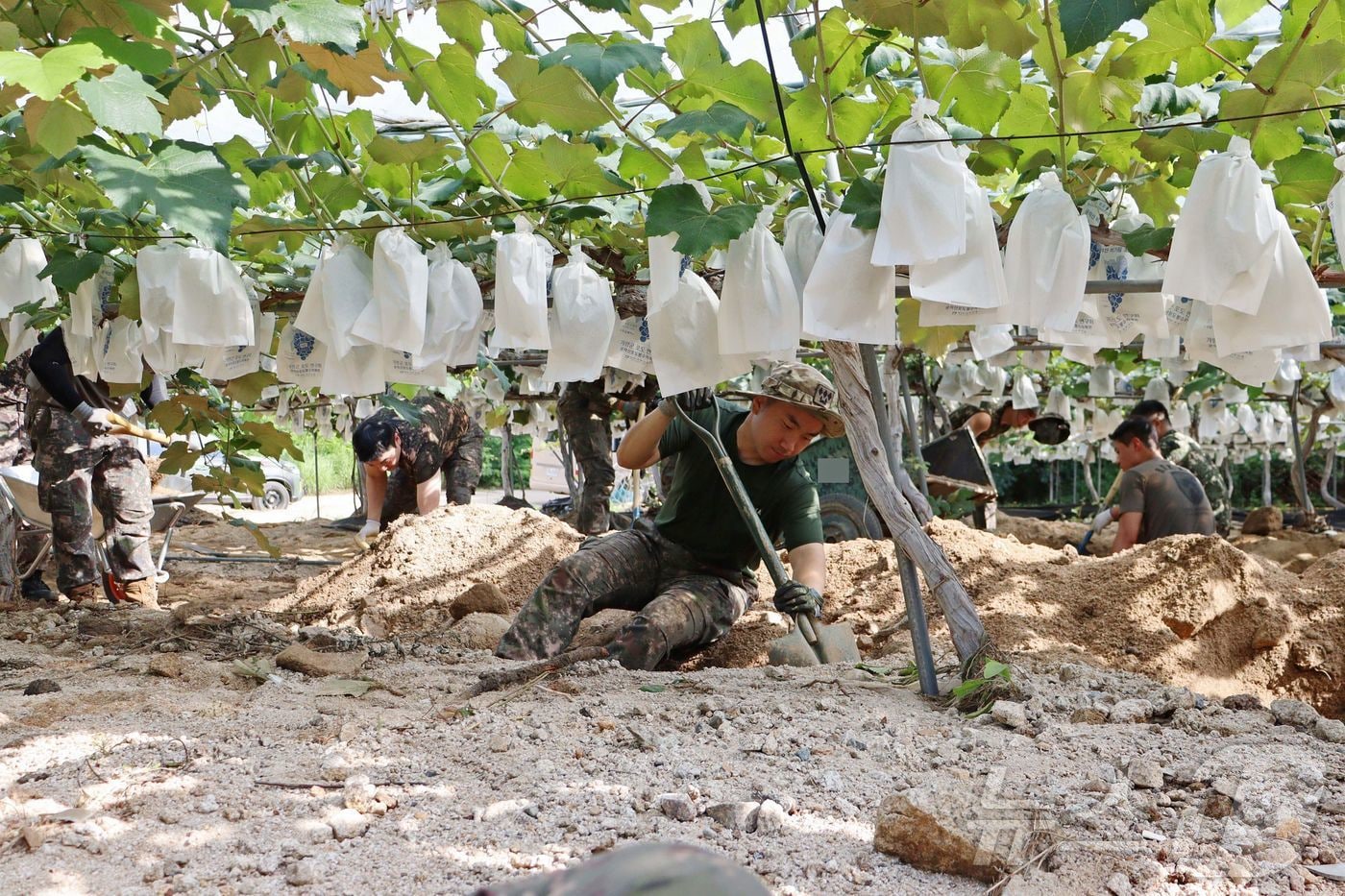 29일 경기 가평군 수해 복구 현장에서 육군 병사들이 구슬땀을 흘리고 있다.(가평군 제공, 재판매 및 DB 금지) 2025.7.29/뉴스1 ⓒ News1 양희문 기자