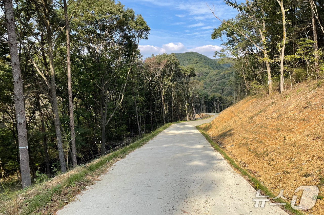 전북 순창군 소재 한 임도 모습.&#40;순창군 제공. 재판매 및 DB금지&#41;/뉴스1 