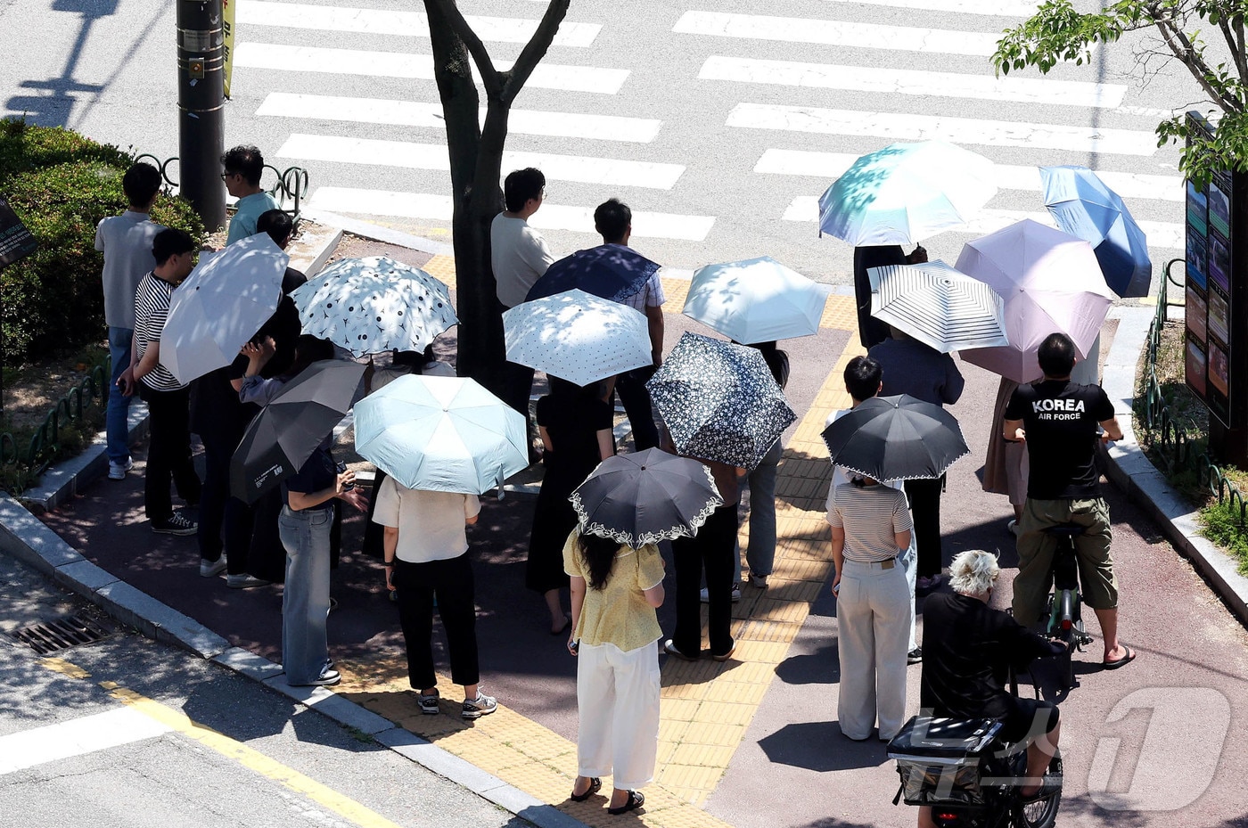 폭염에 양산 쓴 시민들.(뉴스1 DB)