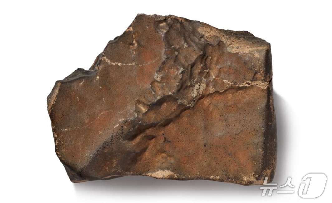 소더비 홈페이지에 올라온 화성 운석 'NWA 16788'. (소더비 홈페이지 갈무리)