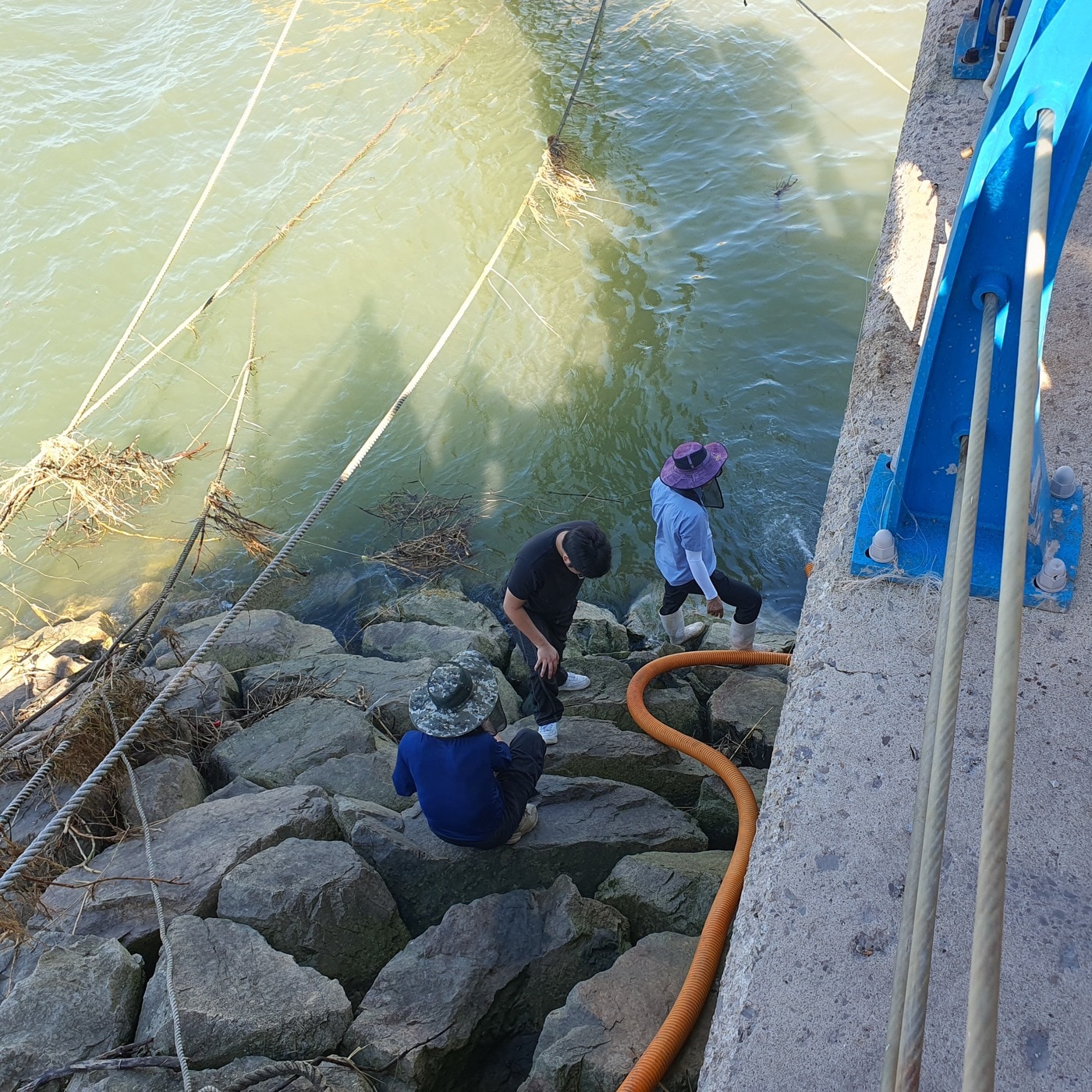 당진 연안에 꽃게를 방류하는 모습.(충남도 제공. 재판매 및 DB금지)/뉴스1 