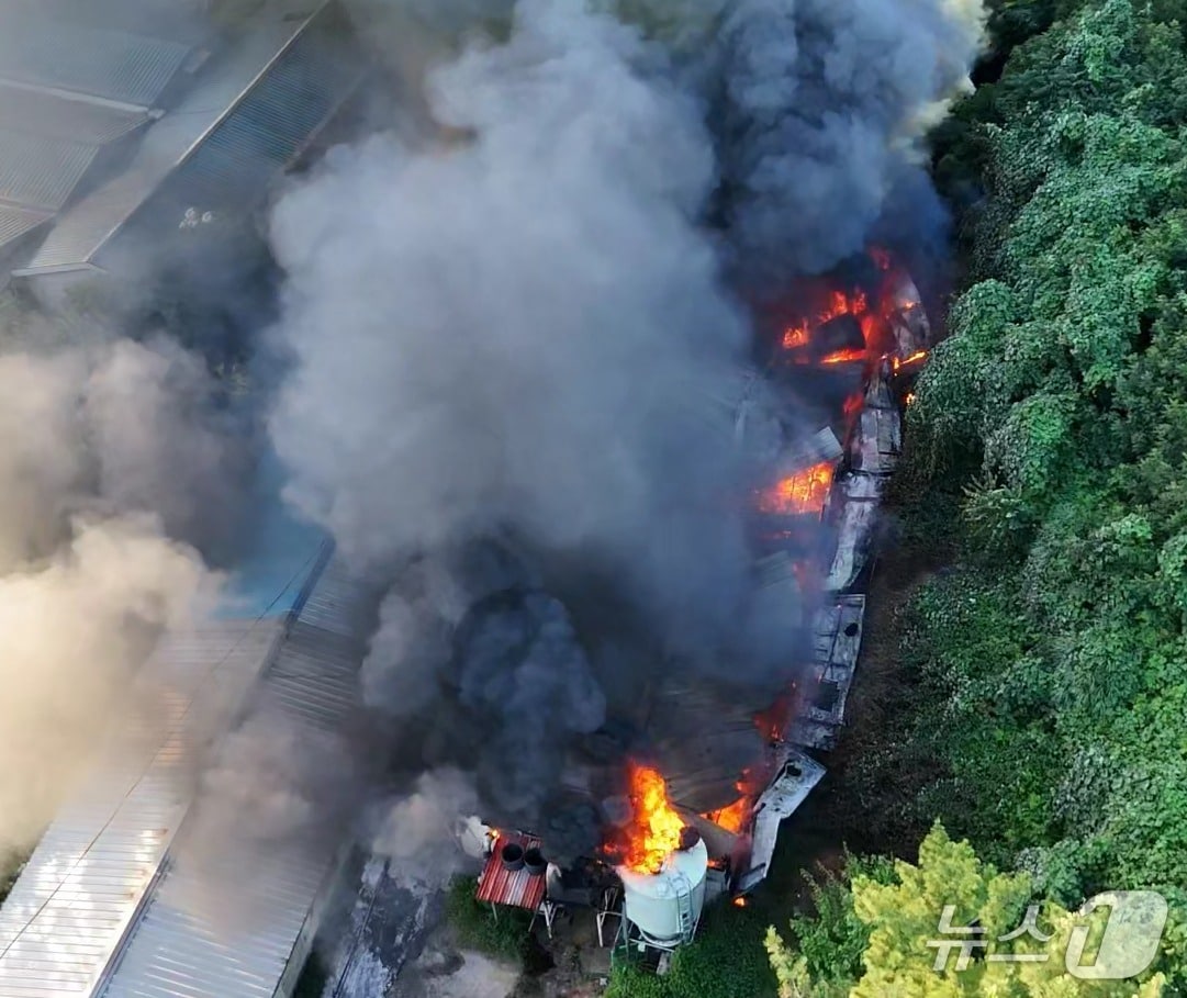 29일 오후 5시 41분쯤 김해시 한림면의 한 돈사에서 불이 나 3시간 40분만에 진화됐다. 사진은 화재 현장 모습.(경남소방본부 제공. 재판매 및 DB금지)