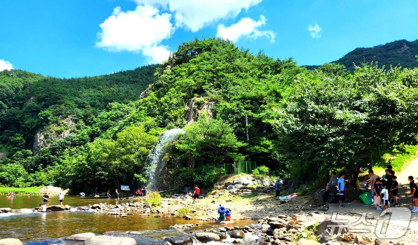 속리산 자락에 위치한  보은 소원계곡을 찾은 피서객들이 즐거운 한때를 보내고 있다. (보은군 제공, 재판매 및 DB금지) /뉴스1  