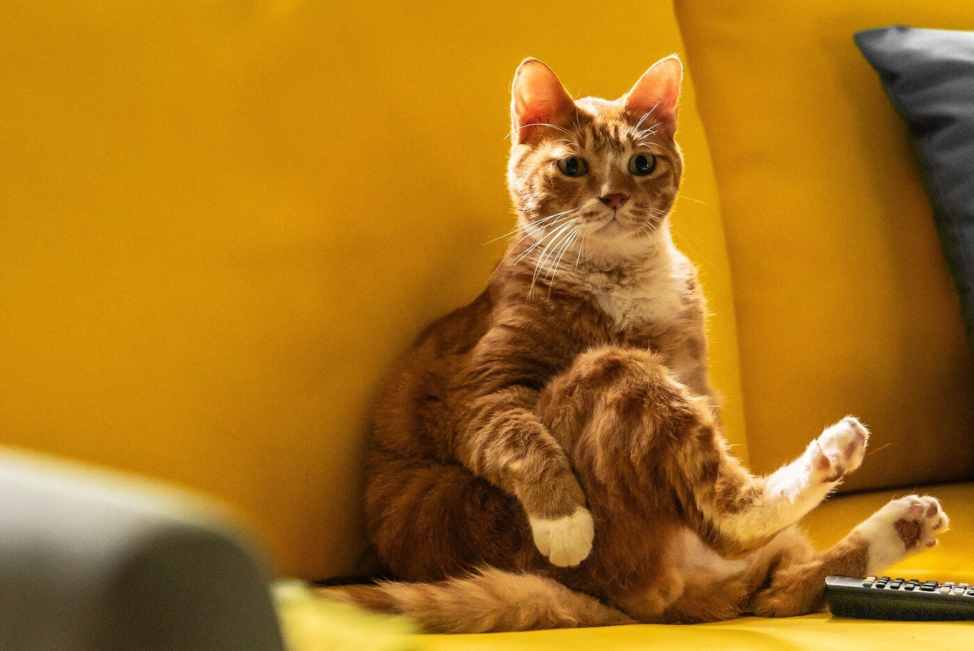 &#39;좀비딸&#39; 스틸 컷