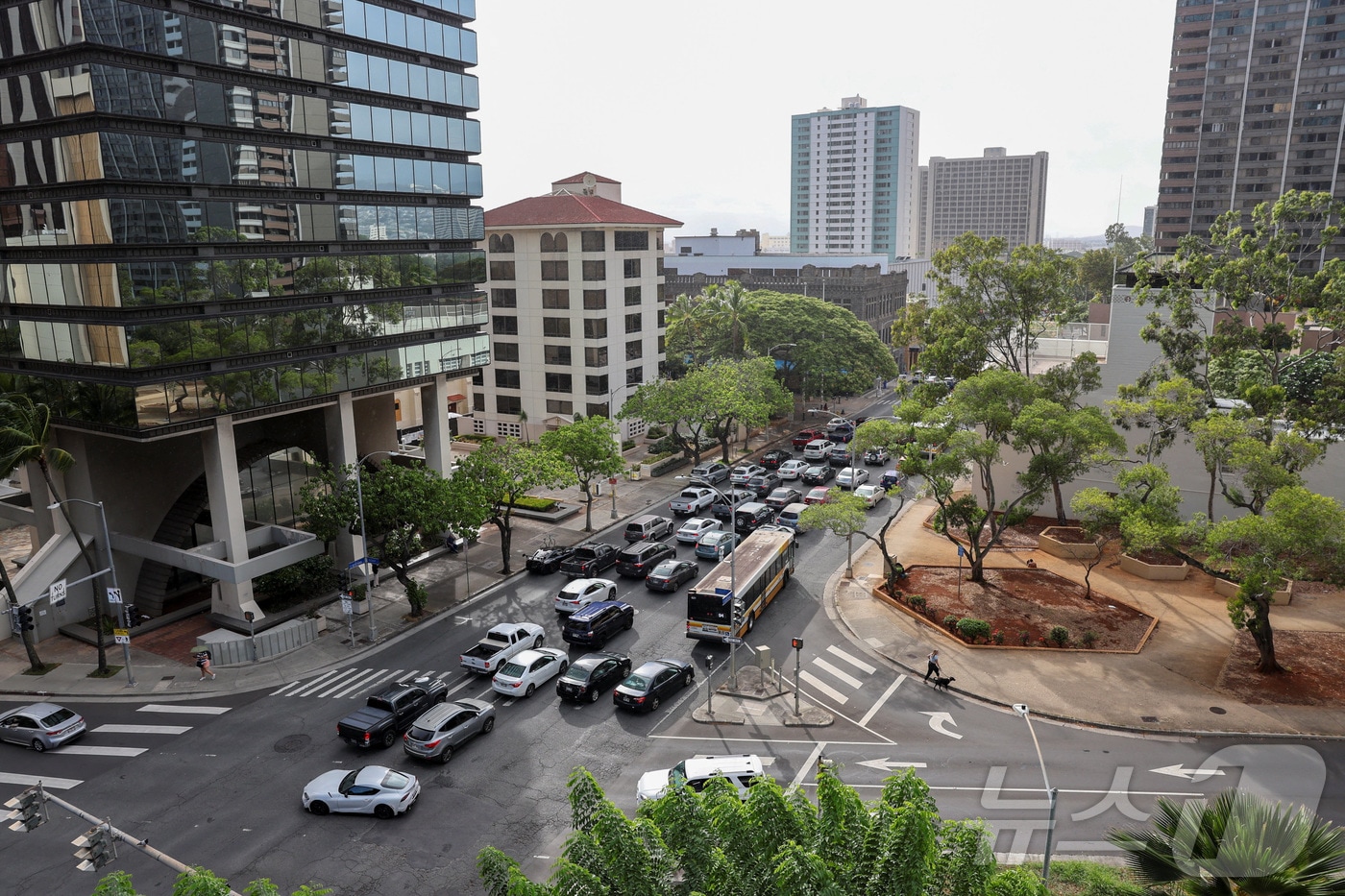 30일 러시아 극동의 캄차카 반도에서 발생한 지진 이후 하와이 호놀룰루에 쓰나미 경보가 발령되면서 현지 교통이 혼잡해지고 있다. 2025.7.30 ⓒ 로이터=뉴스1 ⓒ News1 강민경 기자