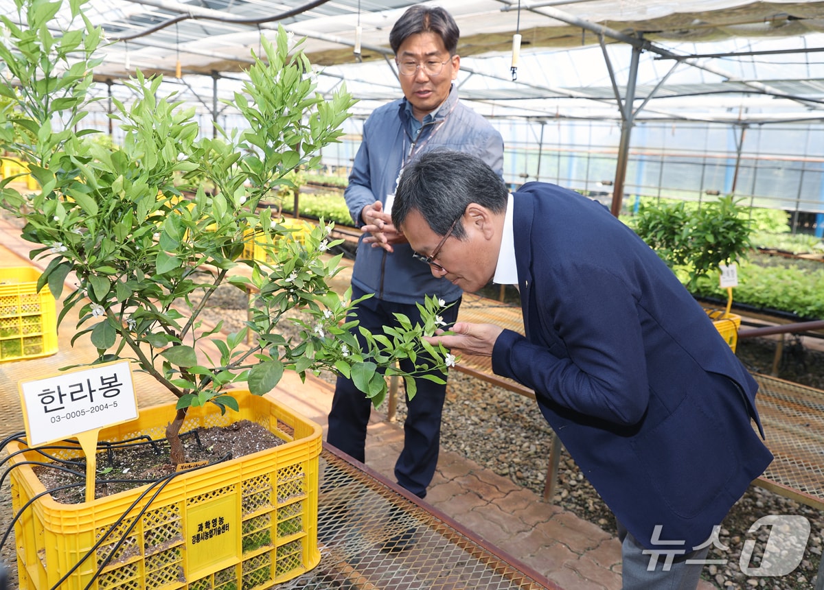 지난 4월 과학영농 실증시험포 점검 현장에 참석한 김홍규 강원 강릉시장.(강릉시 제공, 재판매 및 DB 금지) 2025.7.30/뉴스1