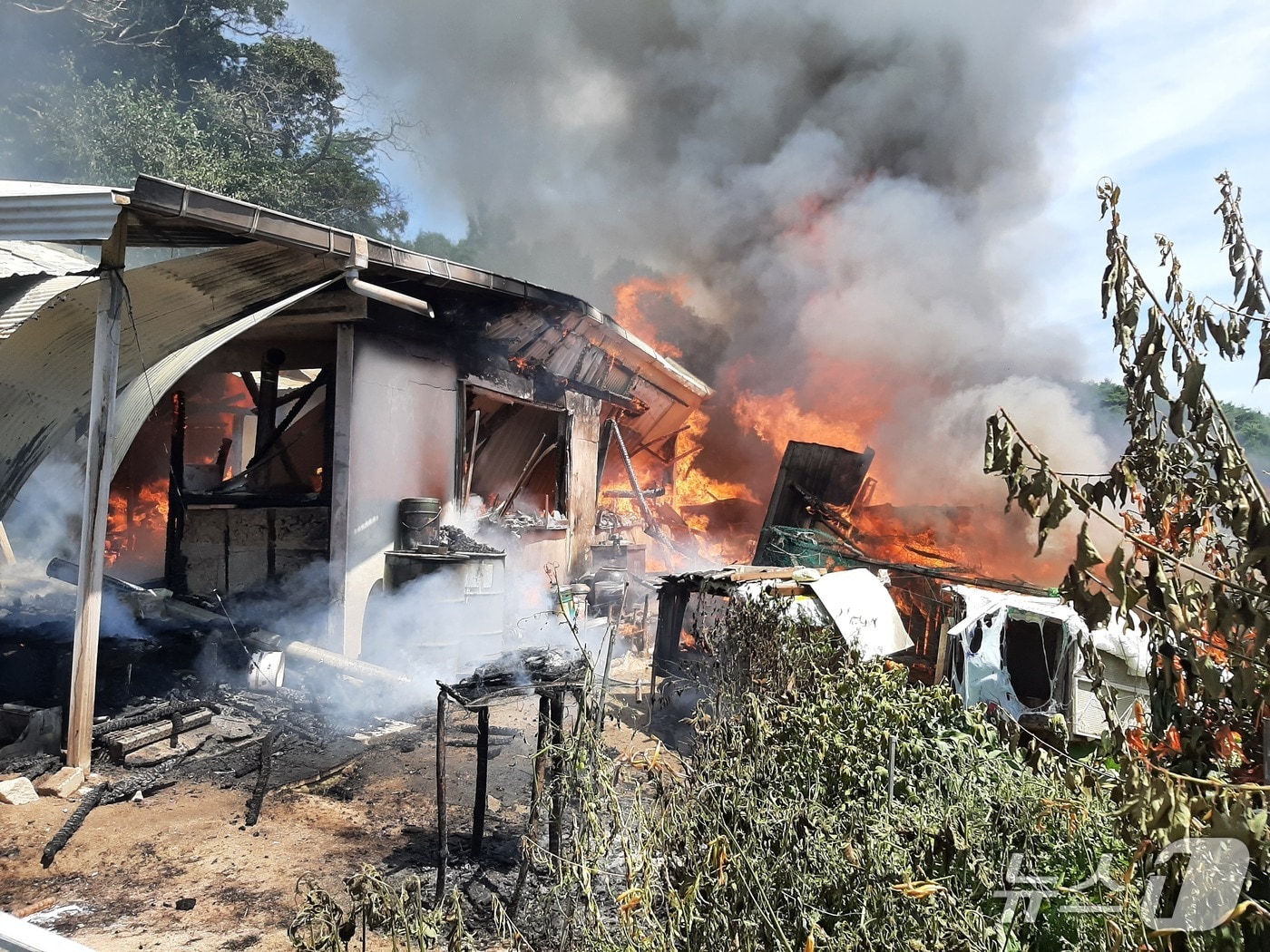 30일 오전 10시 46분쯤 경북 영주시 부석면 한 주택에서 불이나 소방당국이 진화하고 있다.(경북소방본부 제공. 재판매 및 DB 금지)2025.7.30/뉴스1
