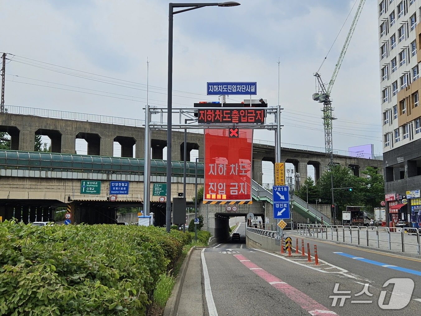 (서울 구로구 제공) 