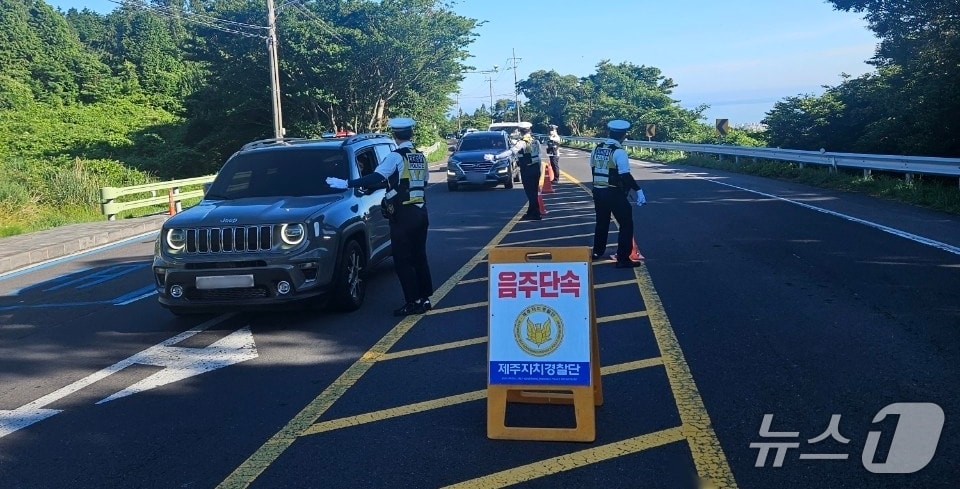 제주도자치경찰단이 음주운전을 단속하는 모습.&#40;제주도자치경찰단 제공. 재판매 및 DB 금지&#41;