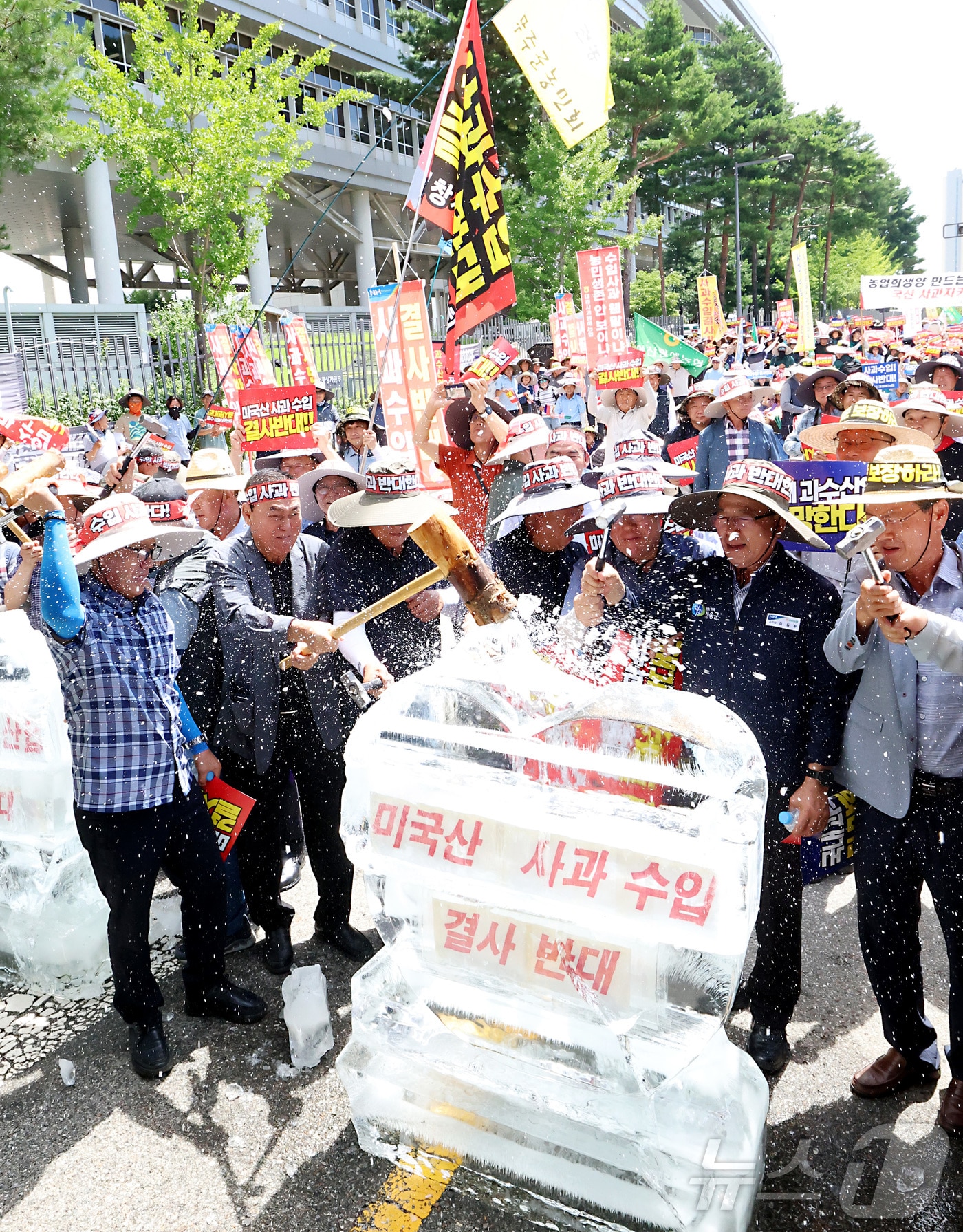 한국사과연합회, 한국과수농협연합회 관계자들과 농민들이 31일 세종시 정부세종청사 산업통상자원부 앞에서 미국산 사과수입 반대 집회를 열고 정부의 미국산 사과 수입 반대 구호를 외치며 사과모양 얼음을 깨는 퍼포먼스를 하고 있다. 2025.7.31/뉴스1 ⓒ News1 김기남 기자