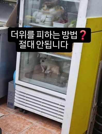 ('케어' 인스타그램 갈무리)