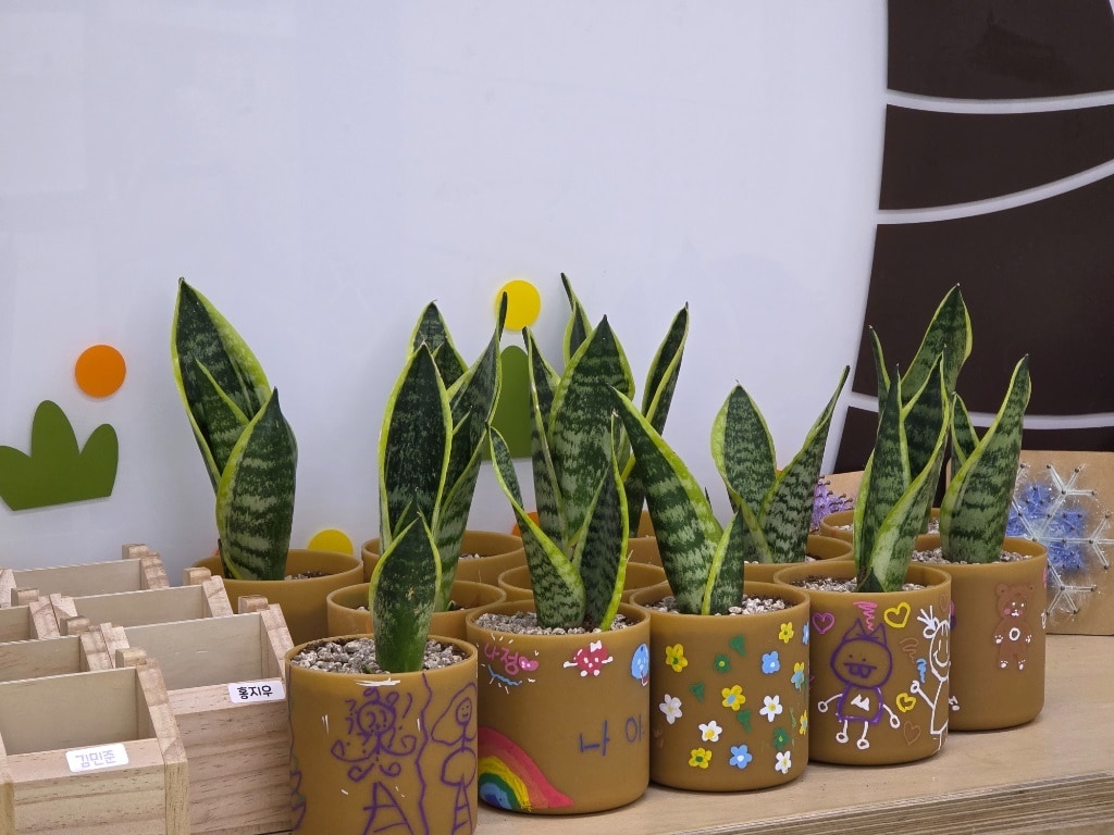 쌀플라스틱 원형화분 만들기 체험 결과물(성동구 제공)