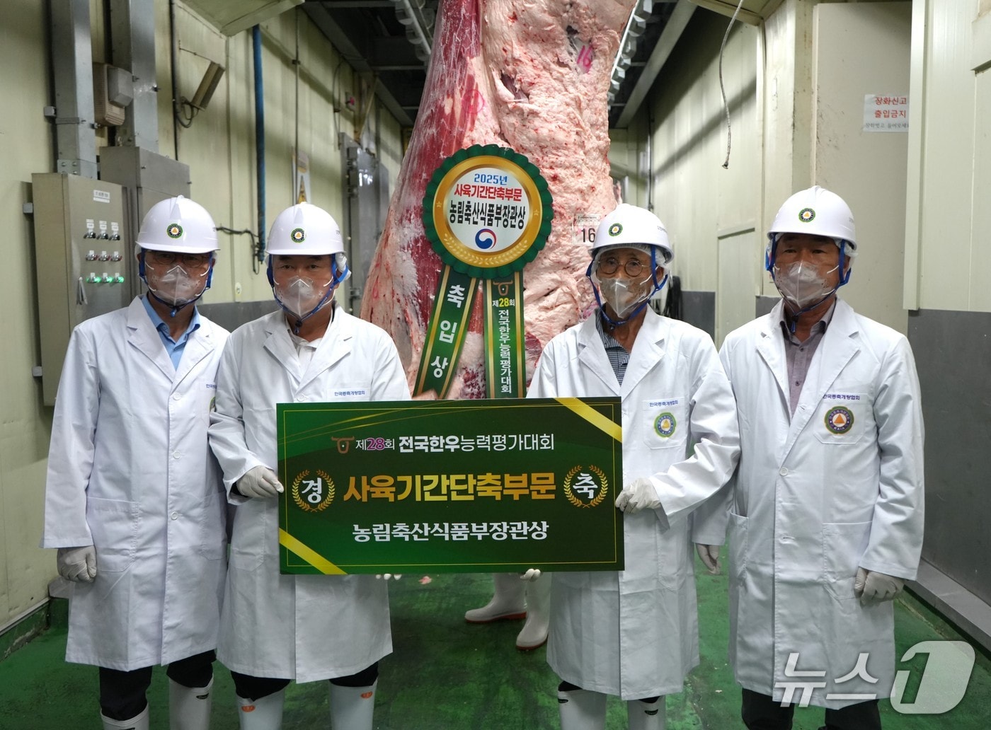 제28회 전국한우능력평가대회에서 경주한우가 사육 기간 단축 부문에서 1, 2위를 차지했다. (경주시 제공, 재판매 및 DB금지) 2025.7.31/뉴스1