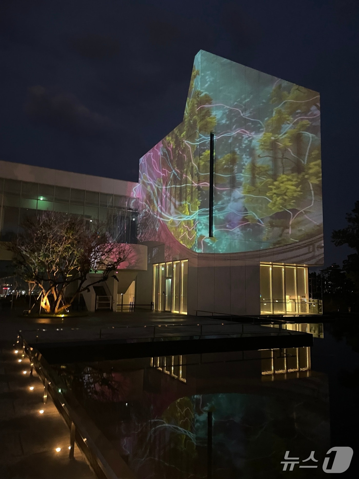 강릉시립미술관 솔올, 미디어 파사드 운영.&#40;미술관 제공, 재판매 및 DB 금지&#41; 2025.7.31/뉴스1
