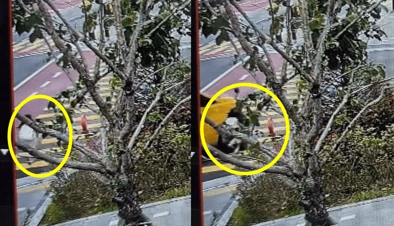 (인스타그램 갈무리)