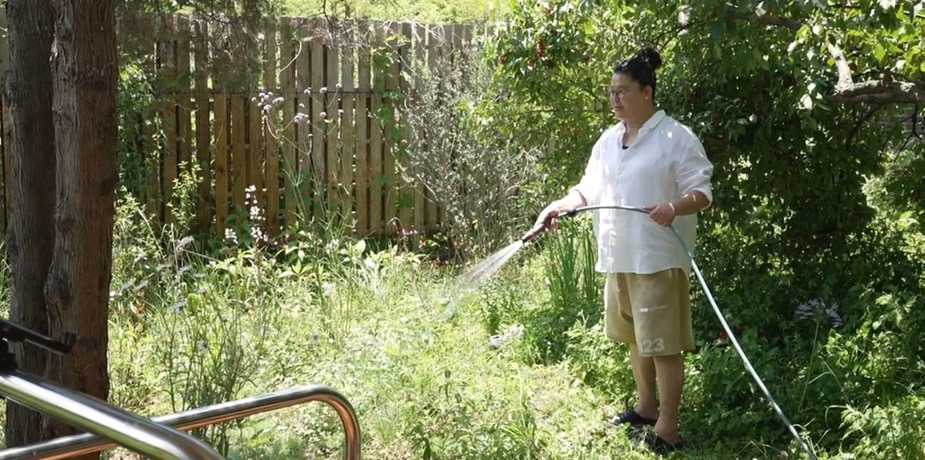 MBC '전지적 참견 시점'