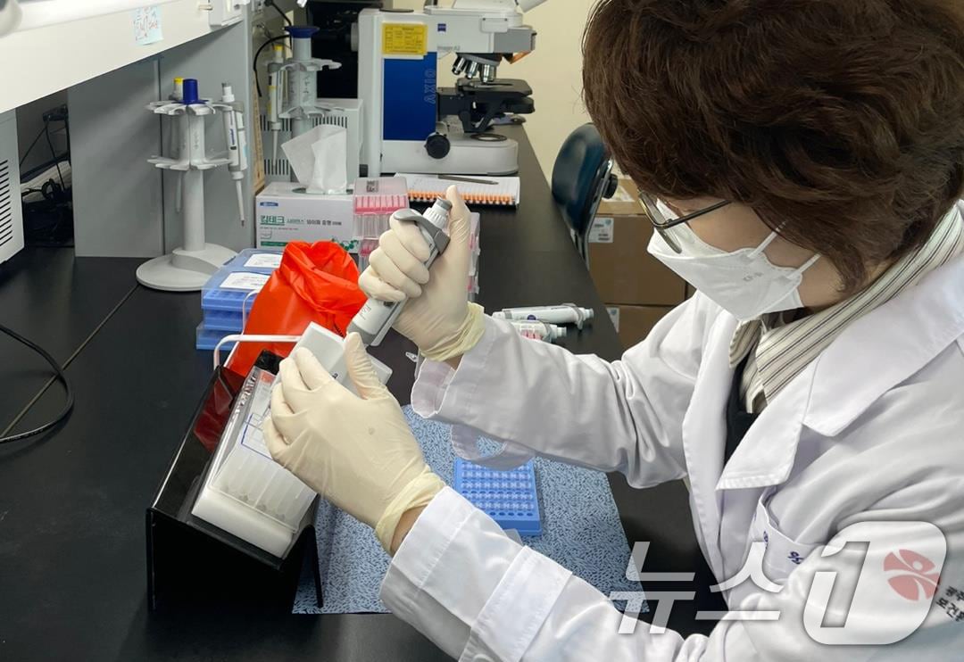 광주시 보건환경연구원 호흡기 바이러스 검사.(광주시 제공. 재판매 및 DB 금지) 