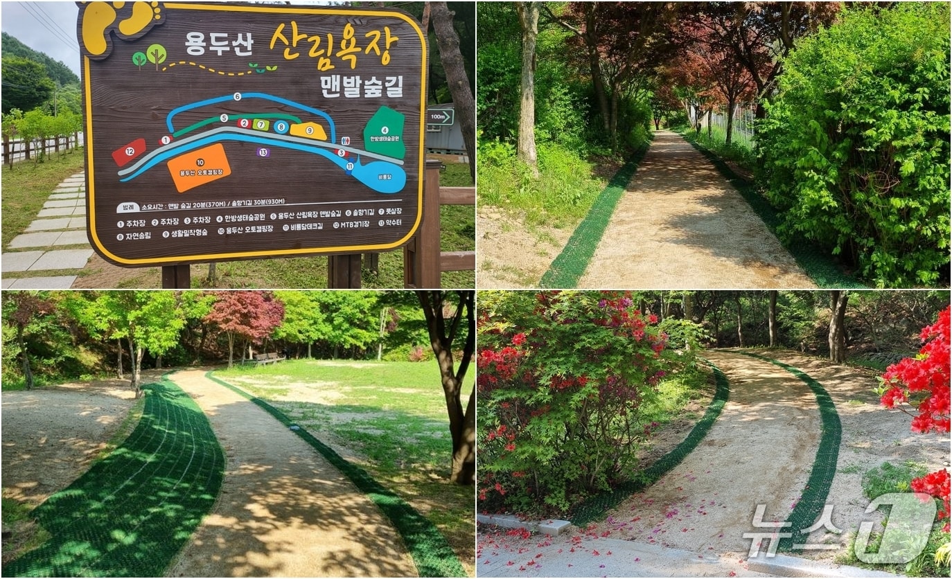 제천시 용두산 산림욕장 맨발숲길.(제천시 제공, 재판매 및 DB금지)/뉴스1 