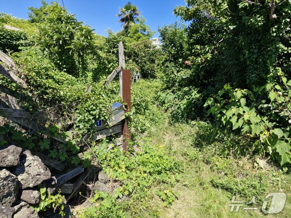 60대 남성이 혼자 거주하던 제주시 삼양동의 한 주택의 정비 전 모습(삼양동 제공. 재판매 및 DB 금지)/뉴스1