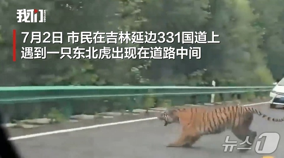  (웨이보 영상 캡처)