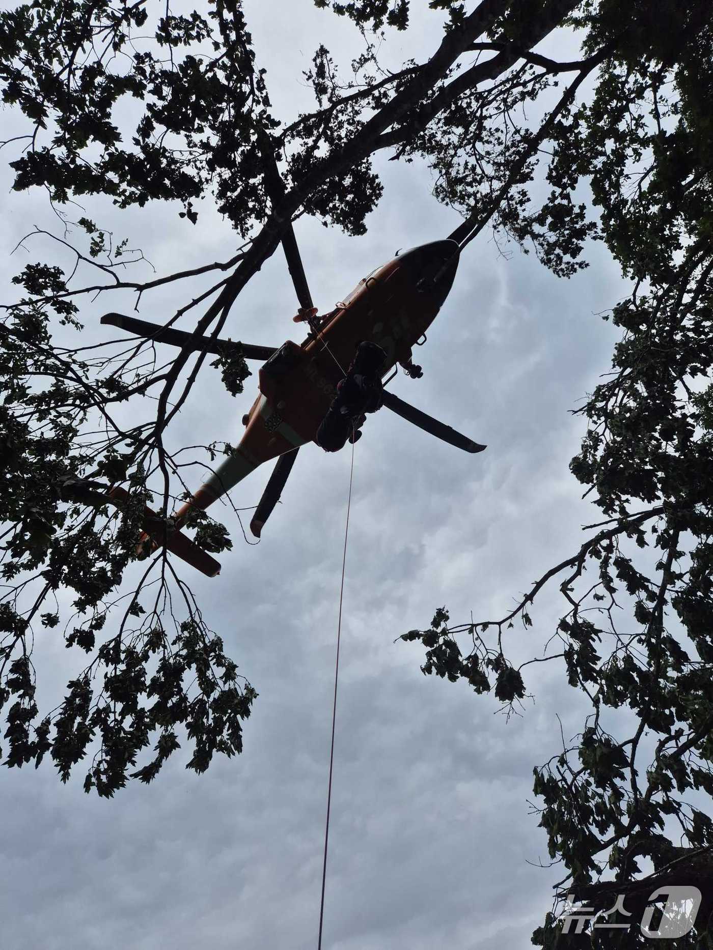소방이 정선 야산에서 추락한 환자를 헬기로 이송하고 있다.(강원도소방본부 제공, 재판매 및 DB금지)