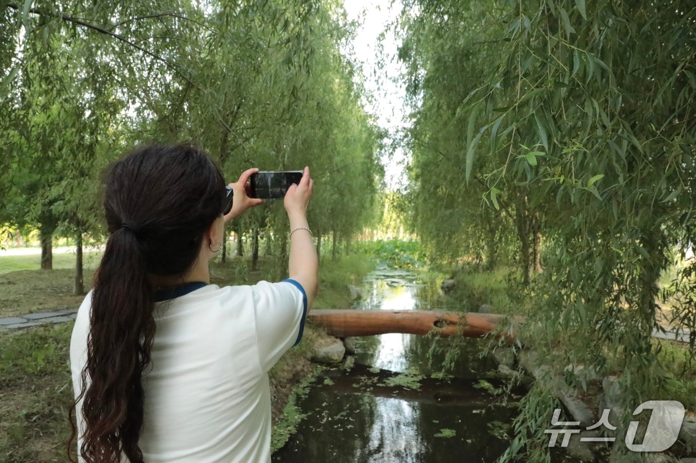 무더운 날씨가 이어진 6일 울산 북구 연암정원에서 한 시민이 사진을 찍고 있다.2025.7.6./뉴스1 김세은 기자