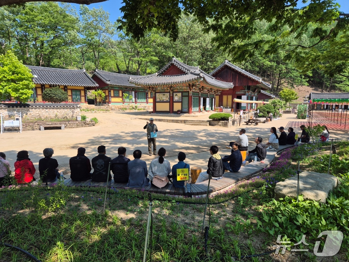 국립공원공단 주왕산국립공원사무소는 6일 산불로 피해를 입은 주왕산국립공원 일원에서 '지역 연계형 생태관광 프로그램'을 운영한다고 밝혔다. (국립공원공단 주왕산국립공원사무소 제공. 재판매 및 DB 금지)/뉴스1