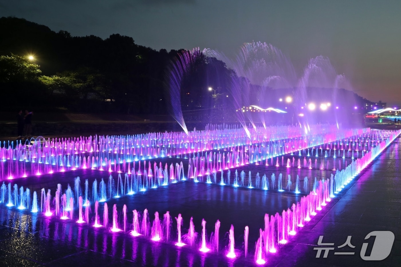 전북 정읍시 정읍천에 설치된 미로분수 물놀이장 모습.(정읍시 제공. 재판매 및 DB금지)/뉴스1