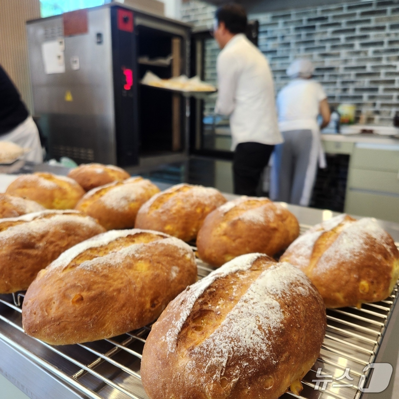8일부터 전북 진안군 직영 유통매체인 '로컬푸드 직매장 진안점'에 장애인 취업 지원형 즉석 베이커리인 '꿈앤 베이커리'가 운영된다.(진안군제공. 재판매 및 DB금지)2025.7.7/뉴스1