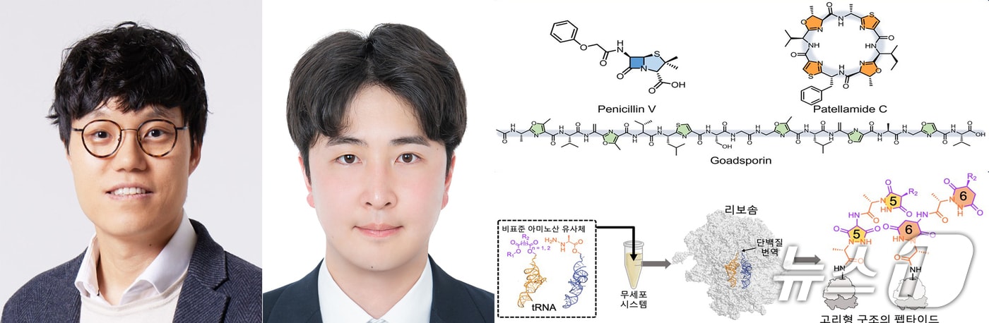포스텍 이준구 교수 연구팀이 세계 최초로 리보솜을 이용해 기존의 선형을 넘어 고리형 구조를 포함한 단백질을 합성하는데 성공했다. (포스텍 제공, 재판매 및 DB금자) 2025.7.7/뉴스1