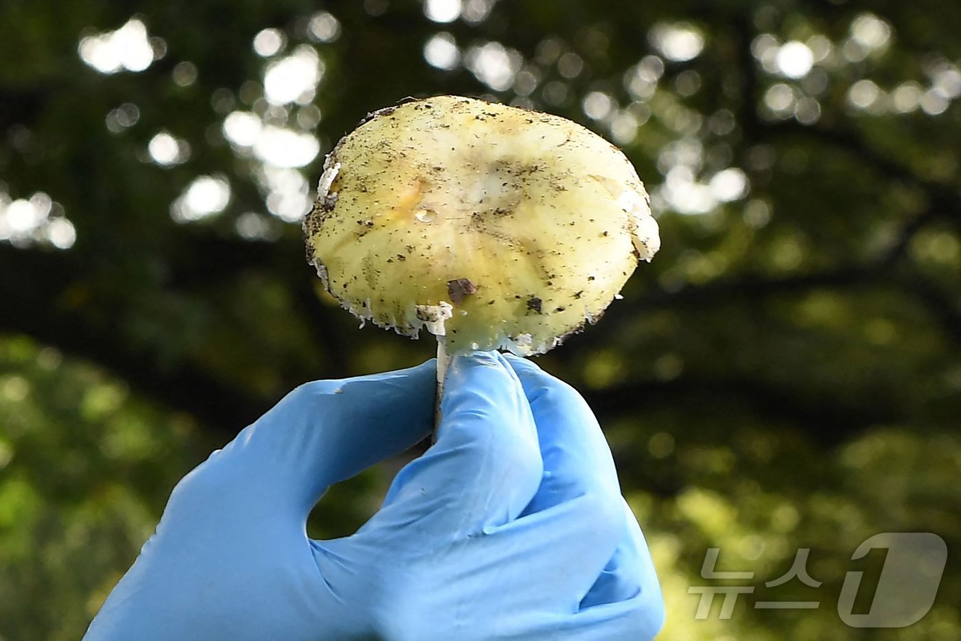 자료사진. 2021.03.31. ⓒ AFP=뉴스1 ⓒ News1 권영미 기자