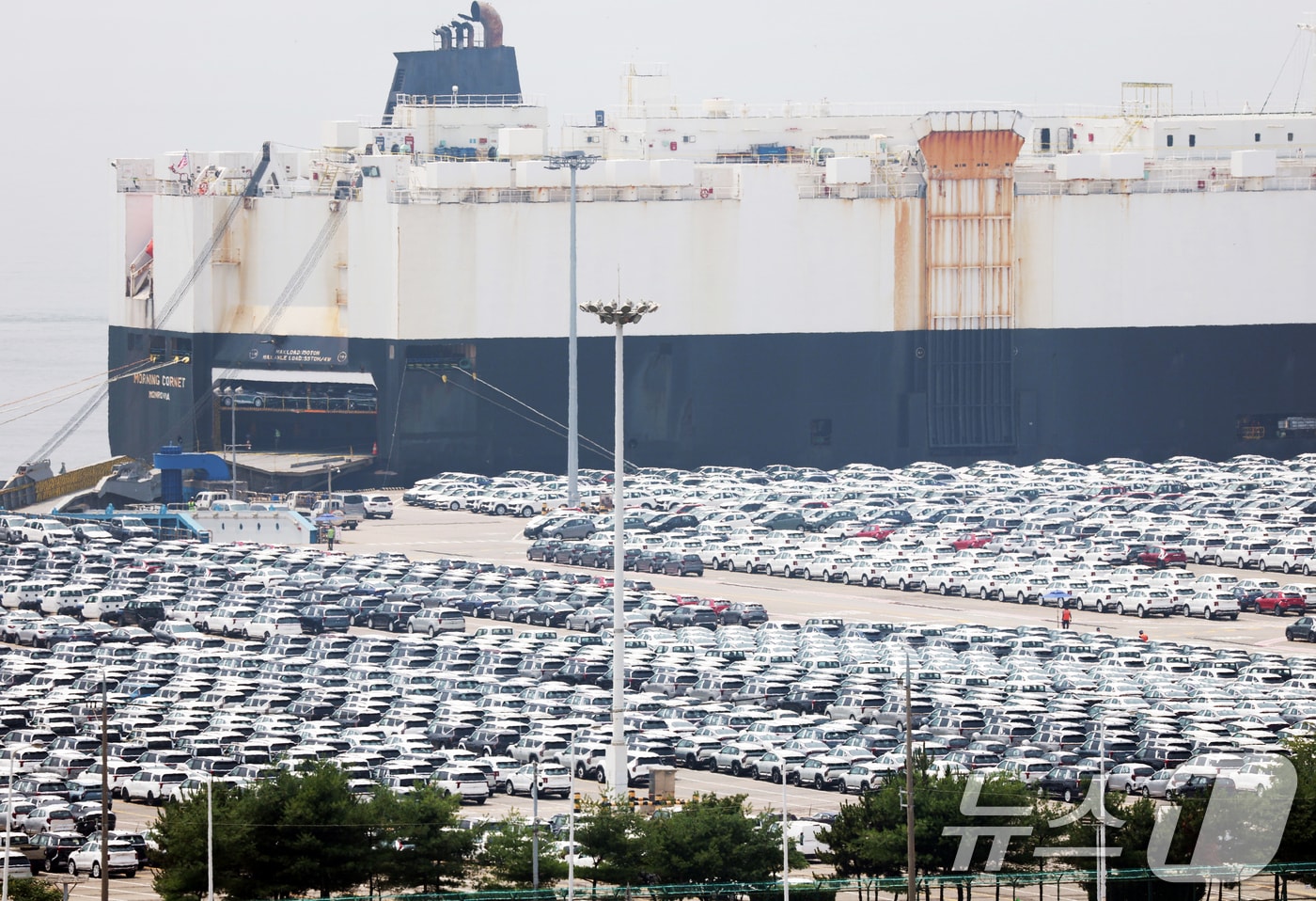 경기 평택시 포승읍 평택항에 수출용 차량들이 세워져 있는 모습. /뉴스1 ⓒ News1
