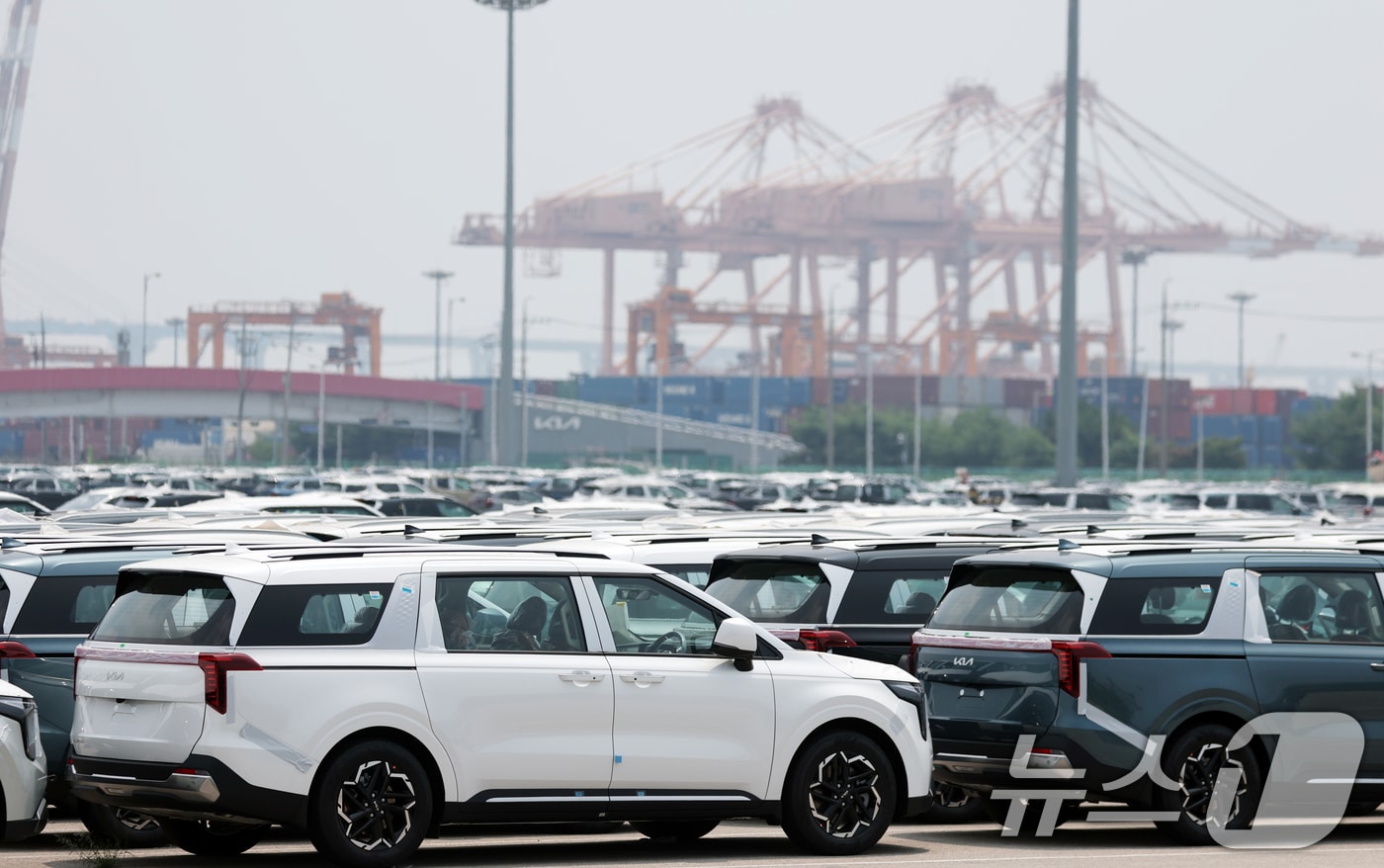 . 사진은 7일 오후 경기 평택시 포승읍 평택항에 수출용 차량들이 세워져 있는 모습. 2025.7.7/뉴스1 ⓒ News1 김영운 기자