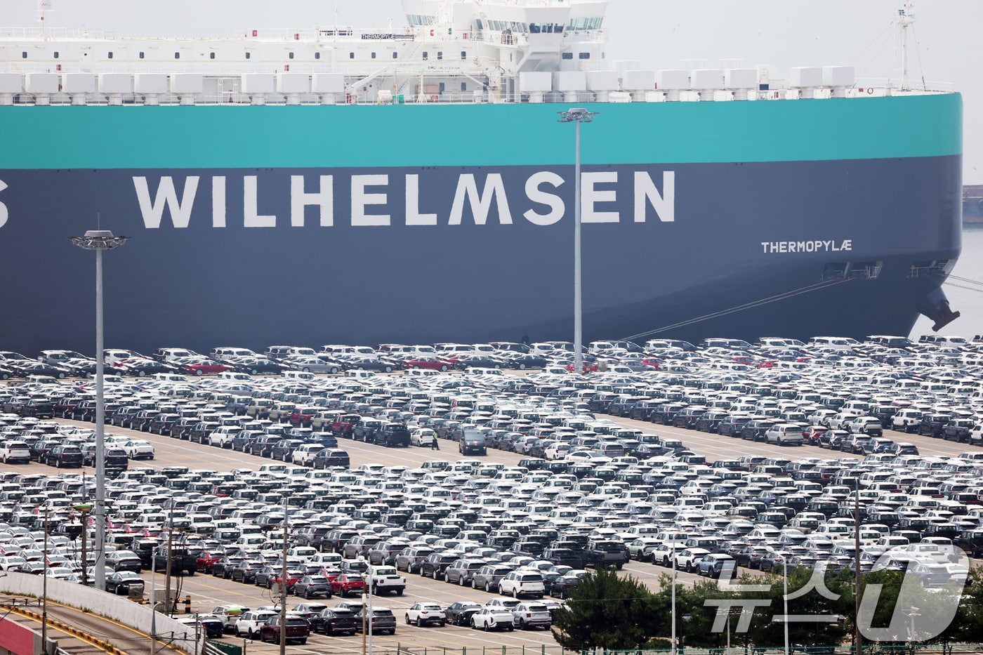 사진은 7일 오후 경기 평택시 포승읍 평택항에 수출용 차량들이 세워져 있는 모습. 2025.7.7/뉴스1 ⓒ News1 김영운 기자