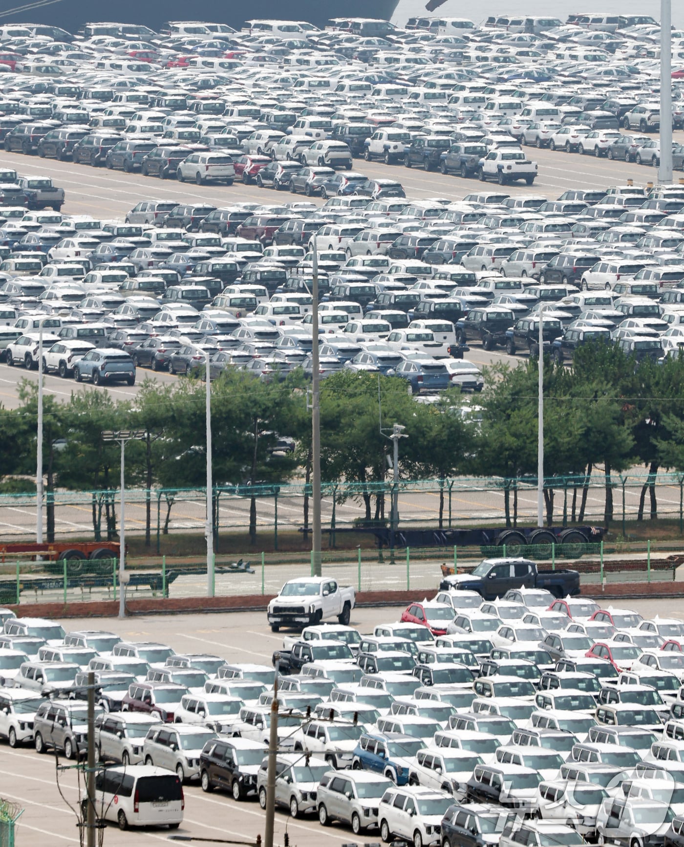 경기 평택시 포승읍 평택항에 수출용 차량들이 세워져 있는 모습. 2025.7.7/뉴스1 ⓒ News1 김영운 기자