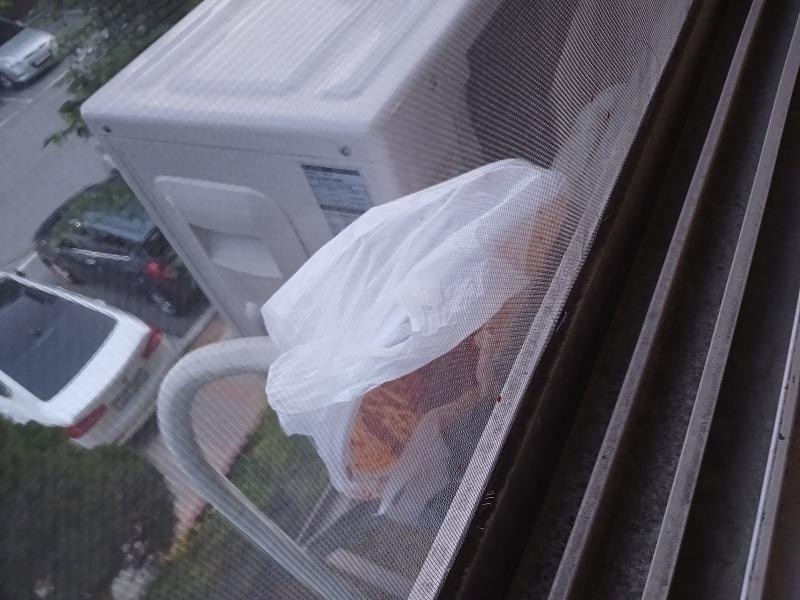 (보배드림 갈무리)