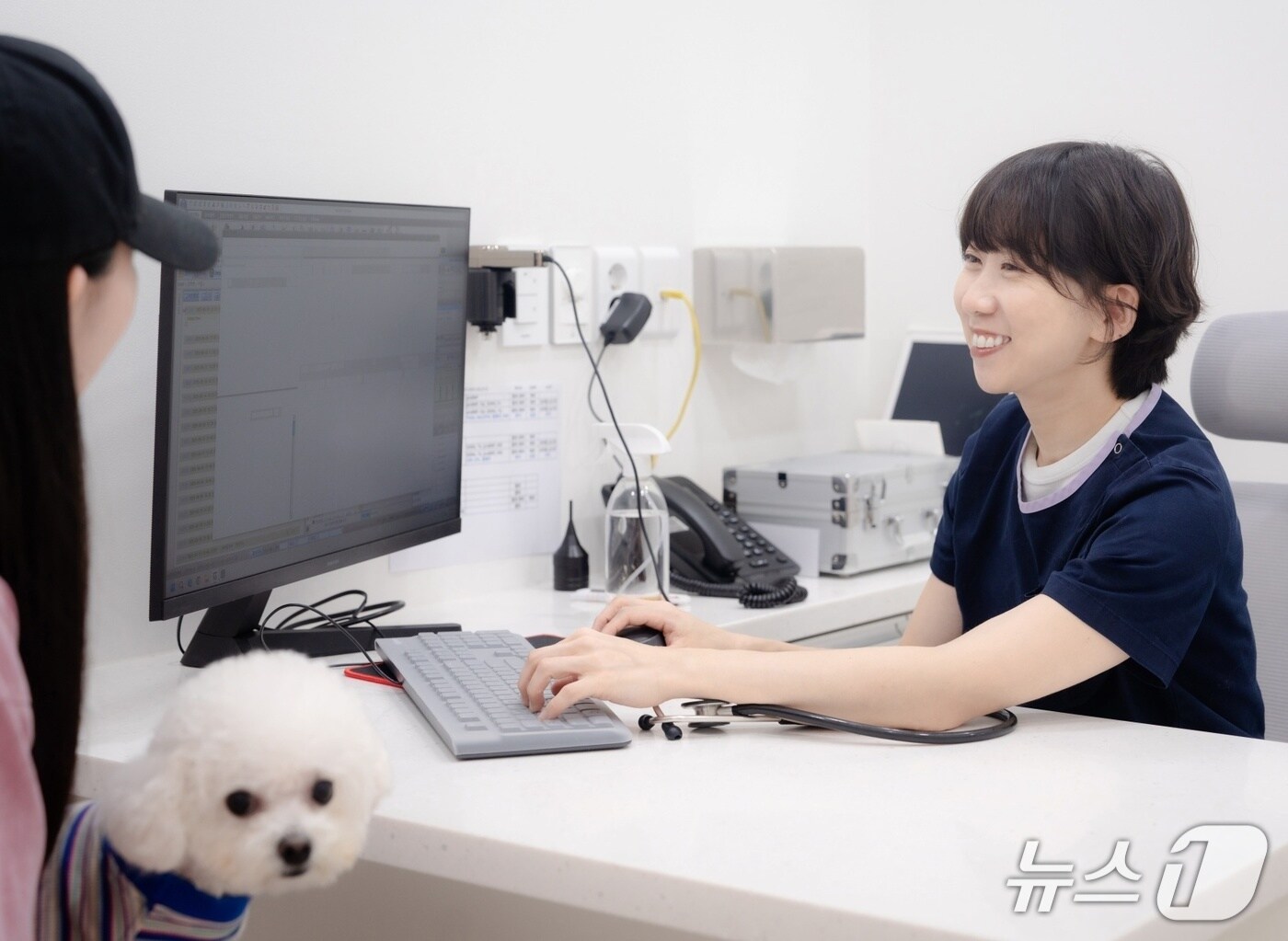 권정현 모모동물의료센터 원장이 강아지 진료를 하고 있다(동물병원 제공). ⓒ 뉴스1