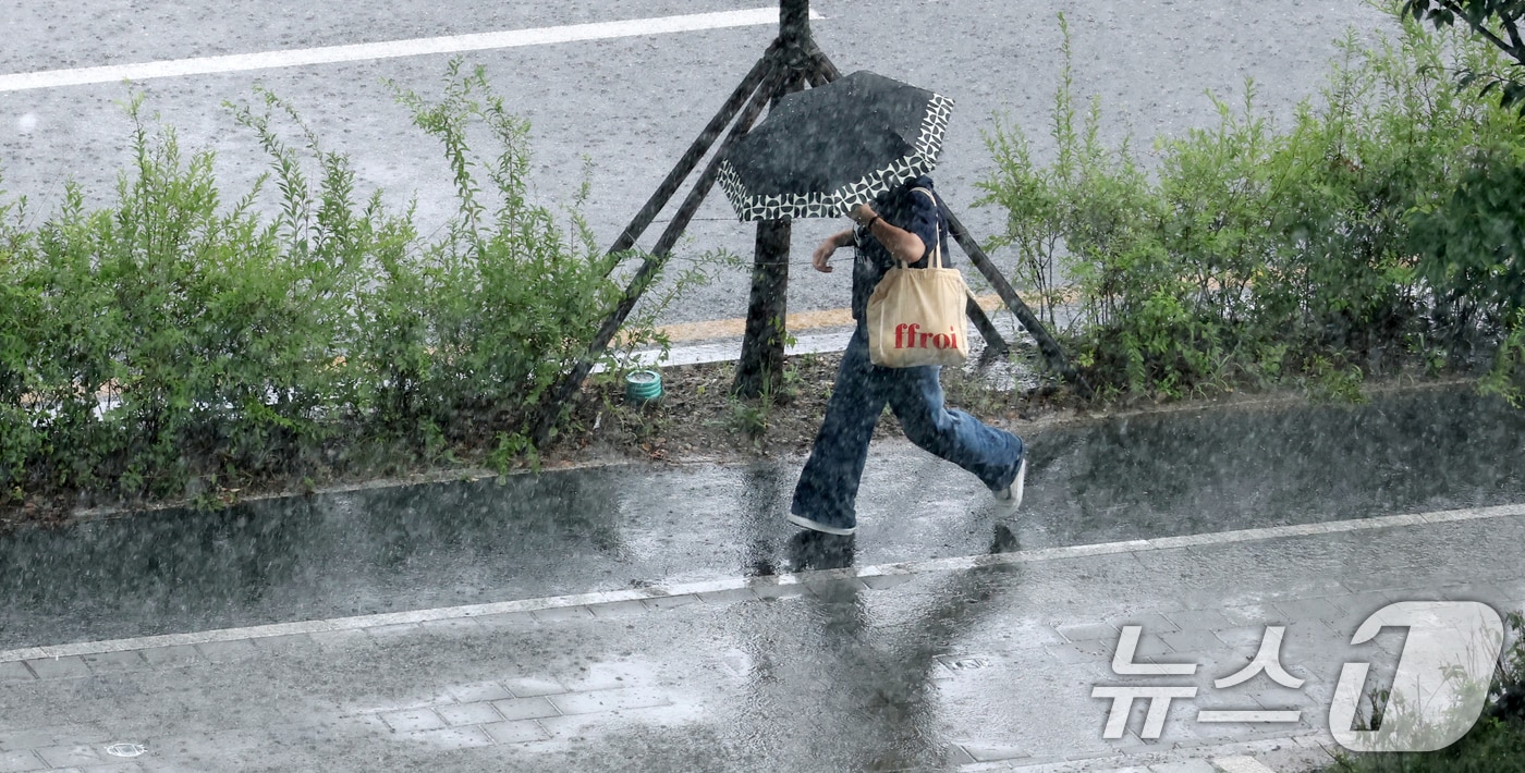 영월 호우주의보 속 하천 수위 상승