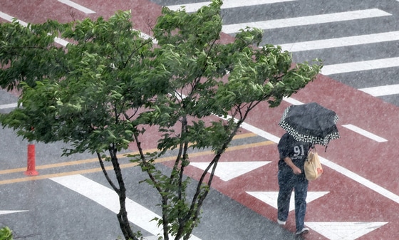 전북 완주군 삼봉로 일원에 소나기가 쏟아지고 있다. ⓒ 뉴스1 유경석 기자