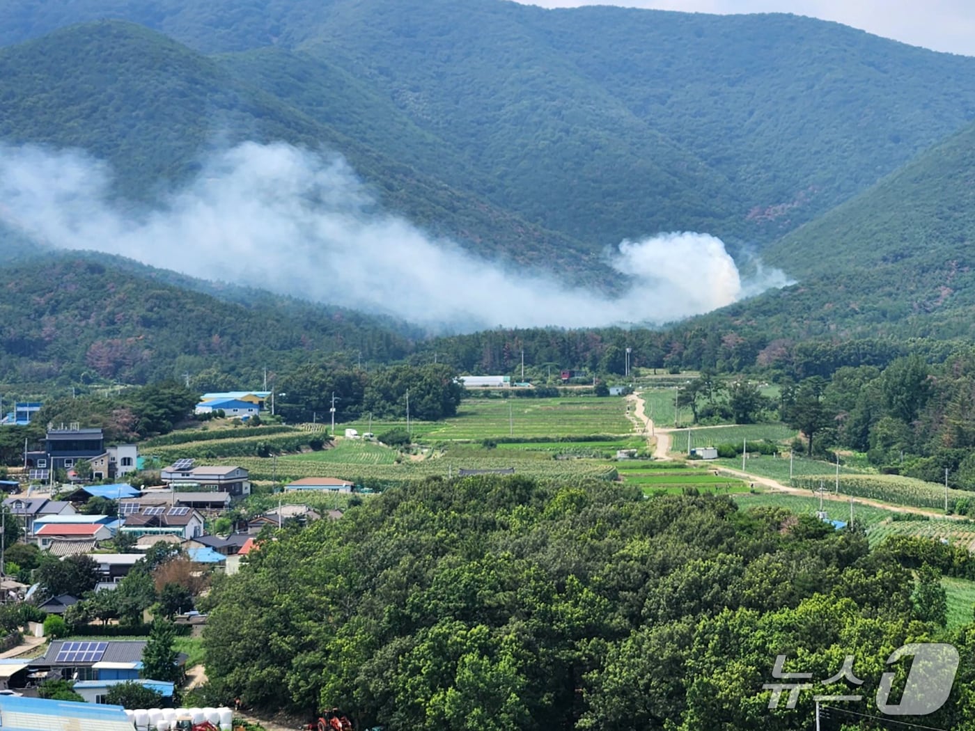 8일 오후 1tl45분쯤 경북 경주시 안강읍 산대리 산 42번지 일원에서 발생한 산불이 40여분만에 진화됐다.(산림청제공, 제판매 및 DB금지) 2025.7.8/뉴스1