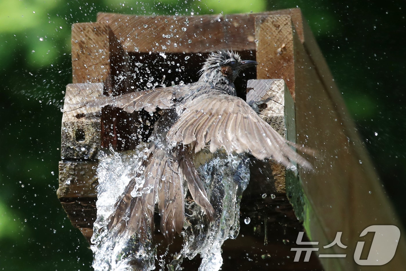 자료사진/뉴스1 ⓒ News1