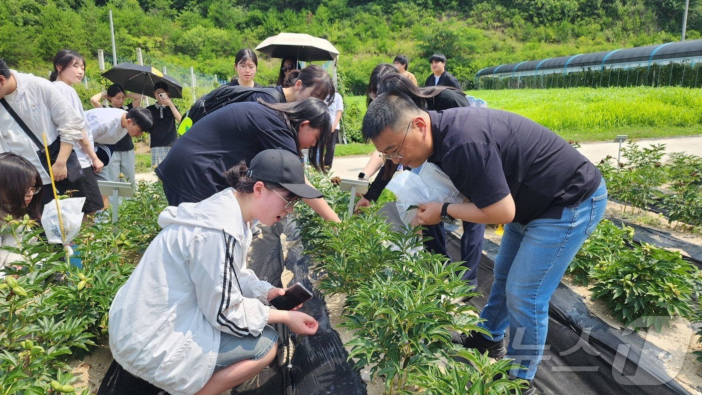 경북농업기술원은 8일 봉화고 학생 20명을 대상으로 농업과 바이오 분야에 대한 이해를 돕는 진로 체험 교육을 실시했다. ⓒ News1 김대벽기자
